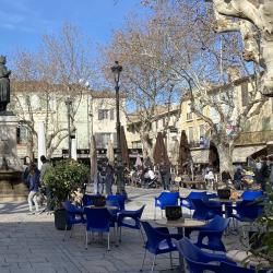 Le Perroquet