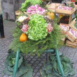 Le Petit Marche De Montferrand
