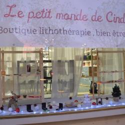 Le Petit Monde De Cinderella
