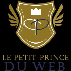 Le Petit Prince Du Web