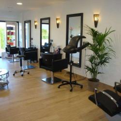 Le Petit Salon