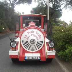 Les Petits Trains Des Pignes