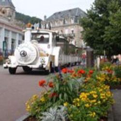 Le Petit Train Touristique