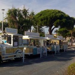 Le Petit Train Touristique