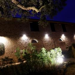 Le Pied De La Lune