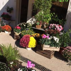 Le Plan Fleuri