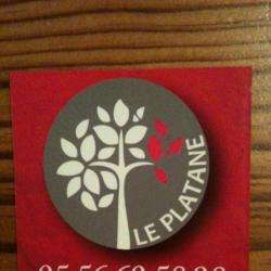 Le Platane