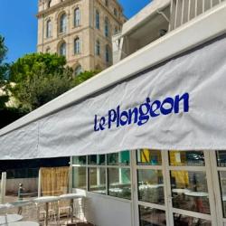 Le Plongeon