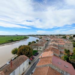 Le Pont Suspendu De Tonnay Charente