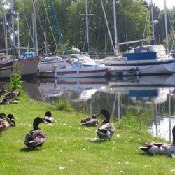 Le Port De Plaisance
