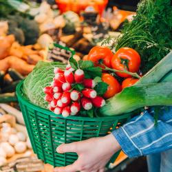 Le Potager De Bacalan