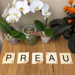 Le Préau