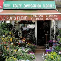 Le Puits Fleuri