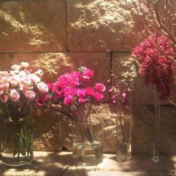 Le Quai Aux Fleurs