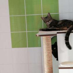 Le Refuge Des Pachats