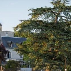 Le Relais Des Landes