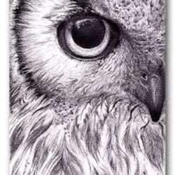 Le Relais Du Hibou