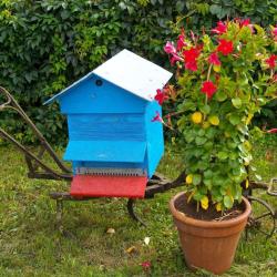 Le Rucher Du Grand Jardin