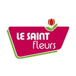 Le Saint Fleurs (dépôt De Mazères) - Réseau Le Saint