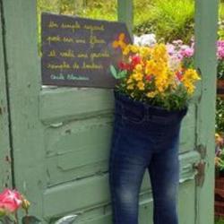 Le Saint Horticulture