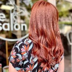 Le Salon