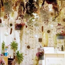 Le Salon De Sonia