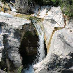 Le Saut Du Loup