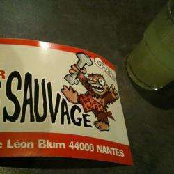 Le Sauvage