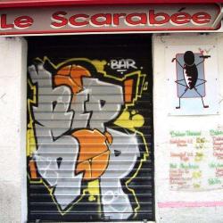 Le Scarabee