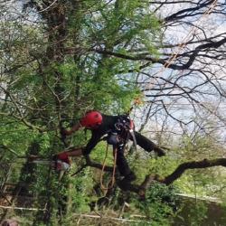 Le Sens De L'arbre