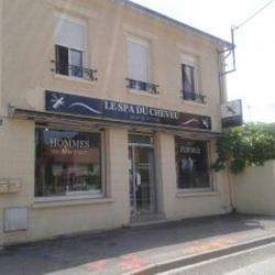 Le Spa Du Cheveu