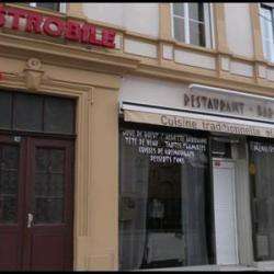 Le Strobile