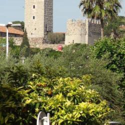 Le Suquet
