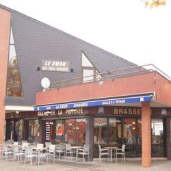 Le Swan