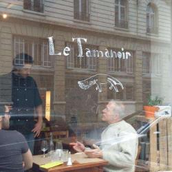 Le Tamanoir