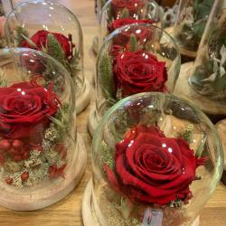 Le Temps D'une Rose