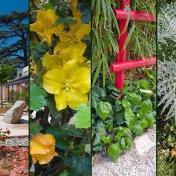 Le Temps Du Jardin