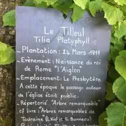 Le Tilleul De Chédigny