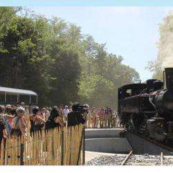 Le Train De L'ardèche