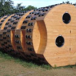Le Tronc Creux