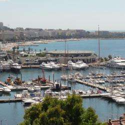 Le Vieux Port