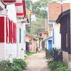 Le Village De L’herbe