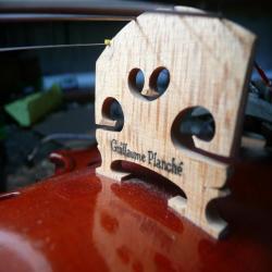 Le Violon Dans L'ame