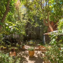 Le Windsor Jungle Art Hotel