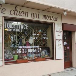 Le Chien Qui Mousse