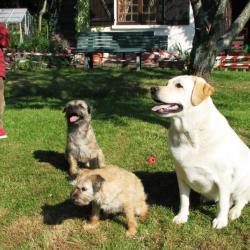 Le Domaine Du Chien