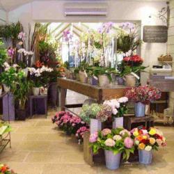 Le Temps Des Fleurs