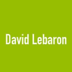 Lebaron David