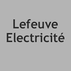 Lefeuve Electricité
