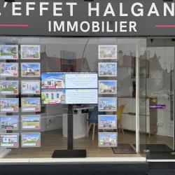 L'effet Halgand Immobilier - Agence Immobilière - Saint-michel Chef Chef